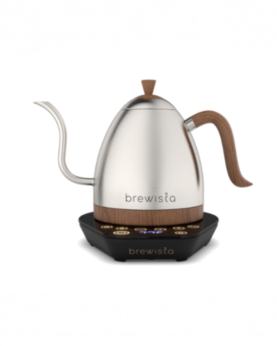 Brewista Artisan 1.0L Gooseneck Variable Kettle, Stainless Steel
