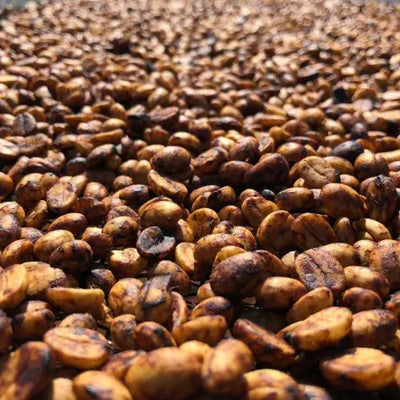 Fazenda Dutra – Matas de Minas, Brazilië Fahman Yoga – Gayo, Sumatra