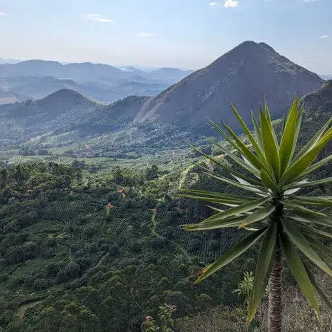 Fazenda Dutra – Matas de Minas, Brazilië Fahman Yoga – Gayo, Sumatra, Brazilië, Indonesië