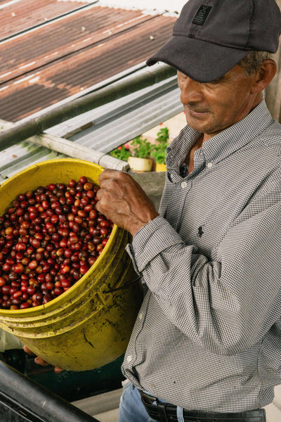 Federación Campesina del Cauca (FCC) coopérative de petits producteurs de la région du Cauca
